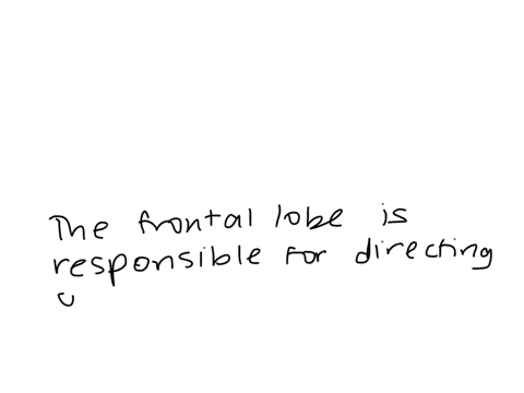 what-specific-part-of-the-brain-is-responsible-for-directing-our-most-complex-mental-functions-such-16614