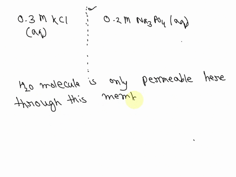 two-compartments-are-separated-by-a-semipermeable-osmotic-membrane-through-which-only-water-molecu-2-00628