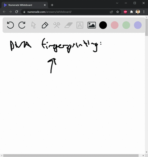 what-is-dna-fingerprinting-name-and-briefly-describe-two-2-techniques-or-processes-that-are-used-during-dna-fingerprinting-that-was-utilised-in-the-biol2o6-laboratorypractical-sessions-2-2-m-57343