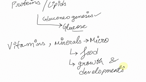 which-of-the-following-foods-provide-the-primary-energy-source-for-endurance-activities-1-carbohydrates-2-proteins-3-fats-4-vitamins-5-minerals-when-glucose-is-broken-down-in-an-atmosphere-w-97034