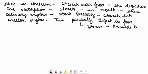 explain-how-a-molecule-of-starch-that-you-eat-enters-the-blood-stream-86985