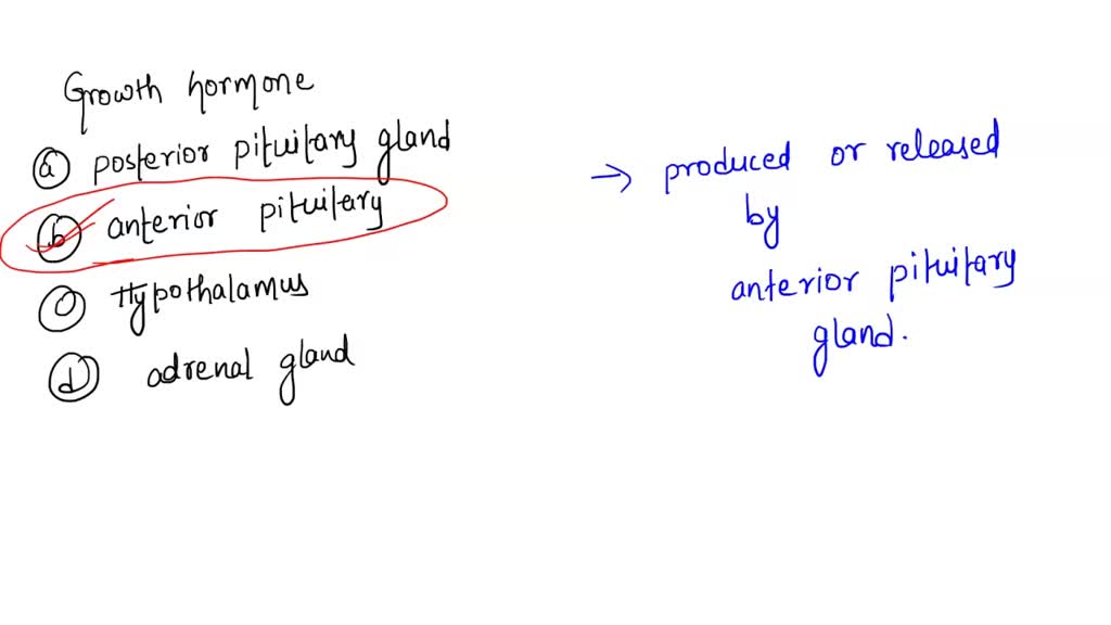 solved-gnrh-stimulates-the-anterior-pituitary-gland-to-synthesize-and