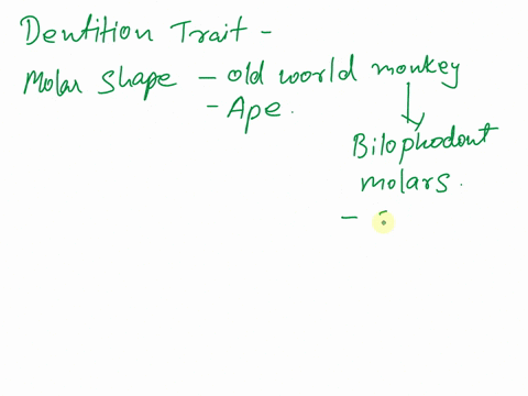 whats-an-important-dentition-trait-that-can-help-us-to-differentiate-between-an-old-world-monkey-cercopithecoid-and-an-ape-hominoid-a-the-presence-of-the-2123-formula-2-incisors-1-canine-2-p-50412