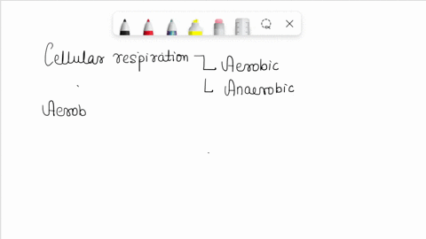 which-of-these-are-by-products-of-cellular-respiration-1-water-2-glucose-and-water-3-atp-4-heat-and-water-5-atp-and-water-71752