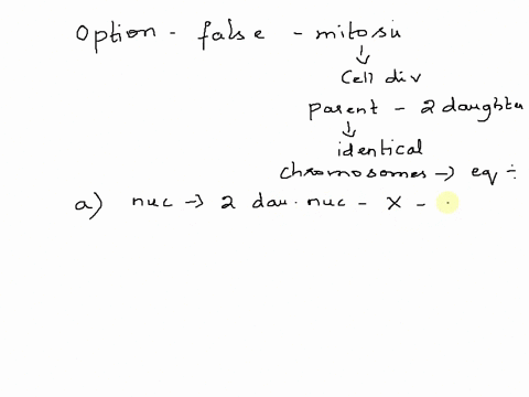 which-statement-about-mitosis-is-not-true-asingle-nucleus-gives-rise-to-two-identical-daughter-nuclei-the-daughter-nuclei-are-genetically-identical-to-the-parent-nucleus-the-centromeres-sepa-55164