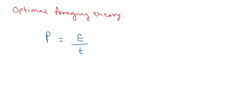 explain-the-connection-betwenn-law-of-efffect-and-optimary-foraging-theory-51235