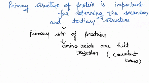 question-12-2-points-the-primary-structure-of-a-protein-is-important-for-determining-the-secondary-and-tertiary-structure-of-a-protein-is-simply-the-order-of-amino-acids-from-one-end-of-the-74554