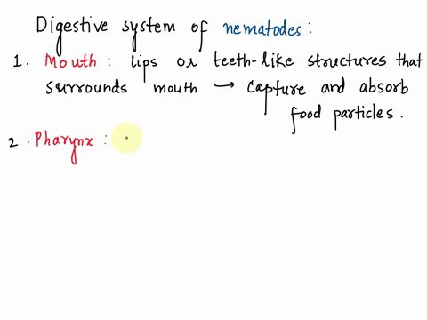 describe-the-digestive-system-of-nematodes-11148