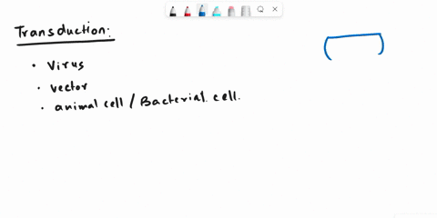 foreign-genes-are-incorporated-into-animal-cells-by-transduction-with-compatible-viruses-true-or-false-86643