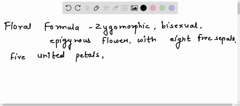write-the-floral-formula-of-a-zygomorphic-bisexual-epigynous-flower-with-eight-free-sepals-five-united-petals-epipetalous-ten-stamens-diadelphous-and-tricarpellary-syncarpous-ovary-inferior-55996
