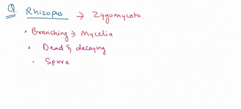 the-mold-rhizopus-consists-of-which-of-the-following-check-all-that-apply-non-septate-hyphae-asexual-spores-sexual-spores-septate-hyphae-pseudohyphae-question-6-15-pts-clinically-what-mold-f-16591