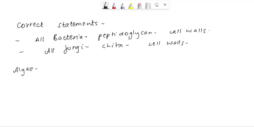 SOLVED PRACTICE EXAMINATION QUESTIONS MULTIPLE CHOICE QUESTIONS Note More than one answer can