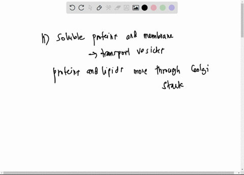 question-ti-notyet-answered-marked-out-of-l00-flag-question-soluble-and-membrane-proteins-advance-through-the-golgi-complex-by-select-one-clsternal-medial-then-trans-compartment-progresslon-59907