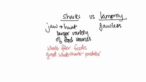 describe-two-specific-differences-between-the-lamprey-and-shark-and-explain-how-these-differences-in-structure-facilitate-differences-in-function-regarding-lifestyles-of-the-two-organisms-no-14579
