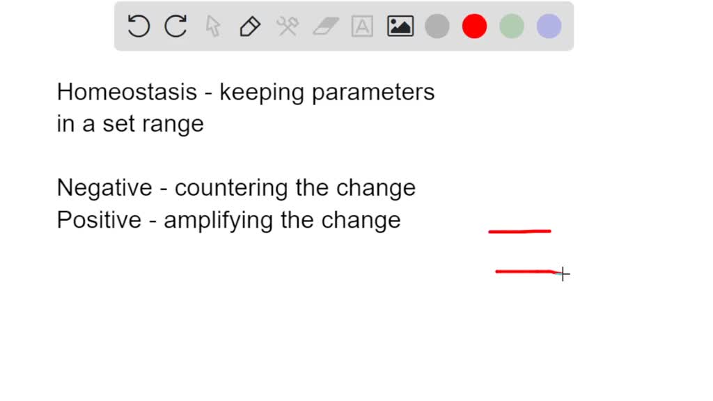 solved-explain-why-positive-feedback-is-more-likely-than-negative