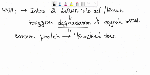 how-is-rna-interference-used-in-the-analysis-of-gene-function-62284