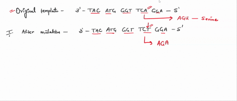 for-questions-2-refer-to-the-following-template-strand-of-dna-original-template-strand-of-dna-3-tac-atg-ggt-tca-gga-5-1-after-exposure-to-a-mutagen-you-get-the-following-mutation-in-the-dna-48706