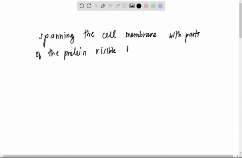 where-would-you-most-likely-find-an-integral-transmembrane-protein-on-the-outside-surface-of-the-cell-membrane-on-the-inside-surface-of-the-cell-membrane-floating-freely-in-the-cytoplasm-acr-33042