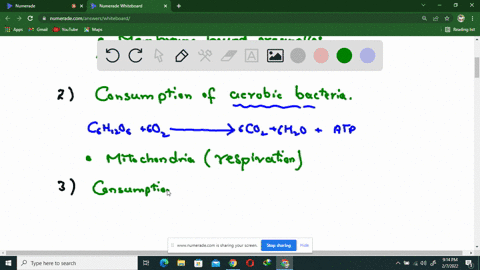evolution-of-eukaryotes-list-the-3-major-events-that-occurred-in-the-evolution-of-prokaryotes-into-eukaryotes-how-did-each-of-the-of-these-events-occurred-what-was-the-order-of-these-events-48174