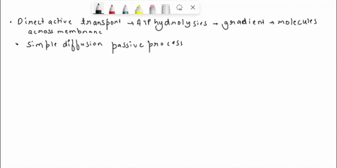 direct-active-transport-requires-direct-atp-hydrolysis-driven-by-an-ion-gradient-transports-glucose-across-membranes-direct-active-transport-nak-atpase-pump-simple-diffusion-transports-small-97637