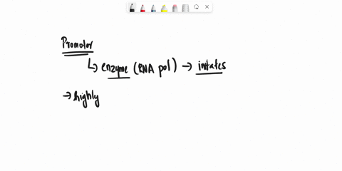 what-is-a-promoter-and-why-is-sequence-information-important-to-its-function-65366