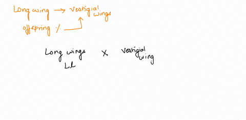 in-fruit-flies-long-wings-are-dominant-and-vestigial-wings-are-recessive-if-a-long-winged-fruit-fly-that-is-heterozygous-mates-with-a-fruit-fly-that-has-vestigial-wings-which-percentage-of-t-37524