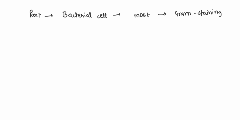 what-part-of-the-bacterial-cell-is-most-involved-with-gram-staining-and-why-09731