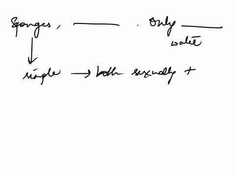 question-2-025-pts-in-sponges-cells-differentiate-into-sperm-or-eggs-in-the-only-are-released-into-the-water-mesohyl-spicules-mesohyl-sperm-cavity-sperm-mesohyl-choanocytes-cavity-choanocyte-03963