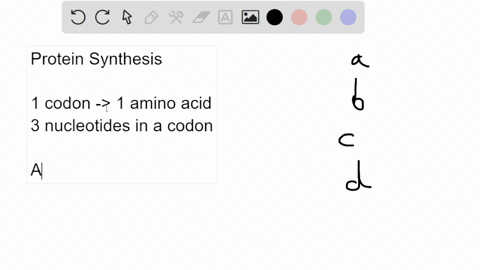 if-a-bacterial-protein-is-made-from-28-amino-acids-how-many-nucleotides-are-needed-to-code-for-its-production-select-one-56-84-28-112-99446