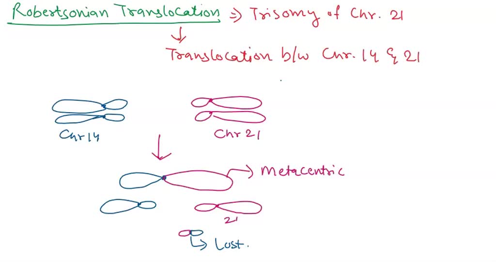 SOLVED: Robertsonian translocations Afrain Impartant type of ...