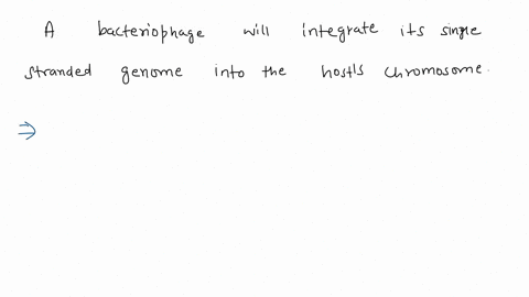 which-of-the-following-statements-is-true-regarding-the-lysogenic-cycle-of-a-bacteriophage-group-of-answer-choices-a-bacteriophages-main-goal-is-to-kill-its-host-a-bacteriophage-will-remain-87876