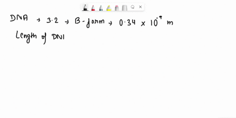 3-pts-_-3-1-given-that-the-human-genome-is-32-billion-base-pairs-calculate-the-length-of-dnf-in-a-typical-human-diploid-somatic-cell-assume-b-form-dna_-034x10-9-32x109-108-2-216-meters-ii-ca-58232