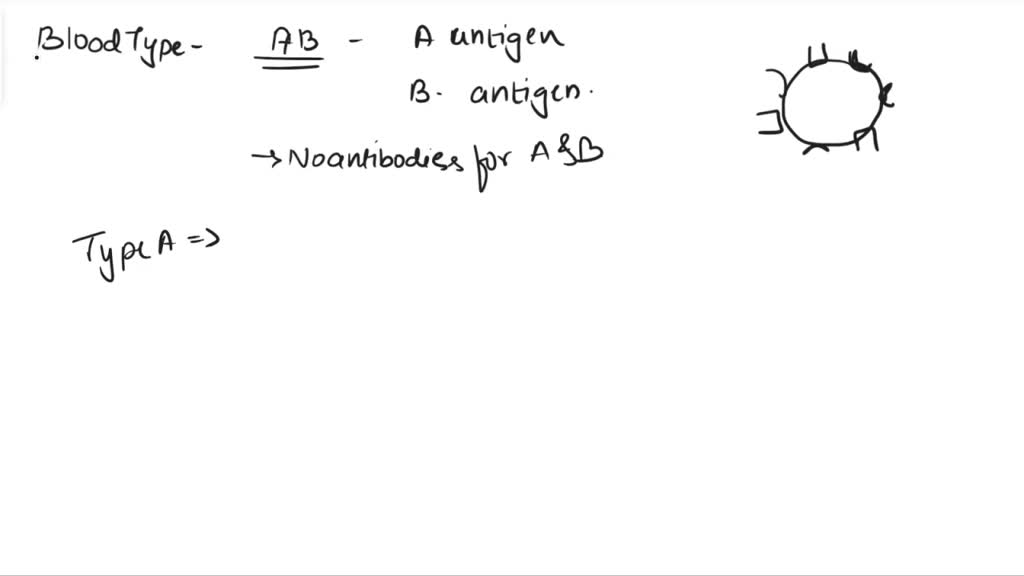 SOLVED: A person of AB blood type has A and B antigens. Why does the ...