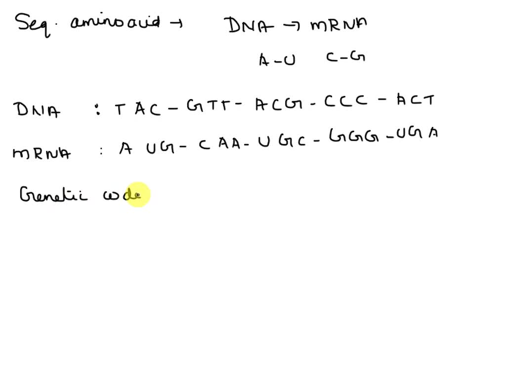 SOLVED: Below is a hypothetical gene sequence. Use what you have ...