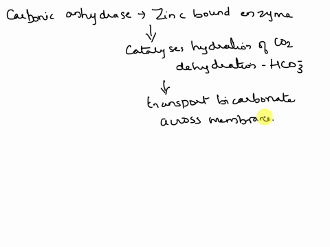 complex-question-carbonic-anhydrase-catalyzes-the-reversible-hydration-reaction-of-co2-which-of-the-following-occur-as-a-result-of-catalysis-a-in-the-tissues-the-rate-of-the-forward-reaction-83735