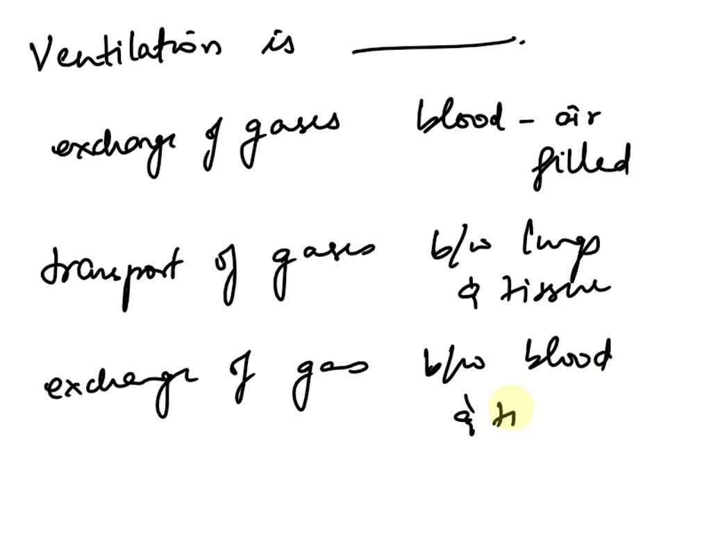 SOLVED: Ventilation takes place in both the lungs and the body cells.