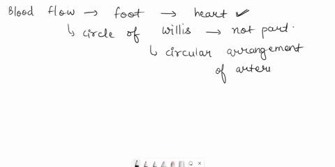 1blood-flow-from-the-foot-to-the-heart-involves-all-of-these-vessels-except-femoral-vein-great-saphenous-vein-anterior-and-posterior-tibial-veins-circle-of-willis-common-iliac-artery-basilar-10501