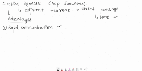 question-4-please-study-questions-1-what-are-the-functional-advantages-and-disadvantages-of-electrical-synapses-2-what-adaptive-advantage-do-synapses-provide-in-nervous-systems-ie-why-isnt-t-29128