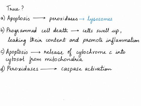 which-of-the-following-statements-is-true-a-apoptosis-is-mediated-by-special-intracellular-proteases-called-peroxidases-b-programmed-cell-death-results-in-cells-swelling-up-leaking-their-con-78969