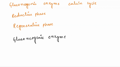 13-which-class-of-enzyme-is-required-for-the-synthesis-of-the-xyulose-5-phosphate-intermediate-of-the-pentose-phosphate-pathway-the-regenerative-phase-0f-the-cavvin-cicle-a-transketolase-b-a-75097