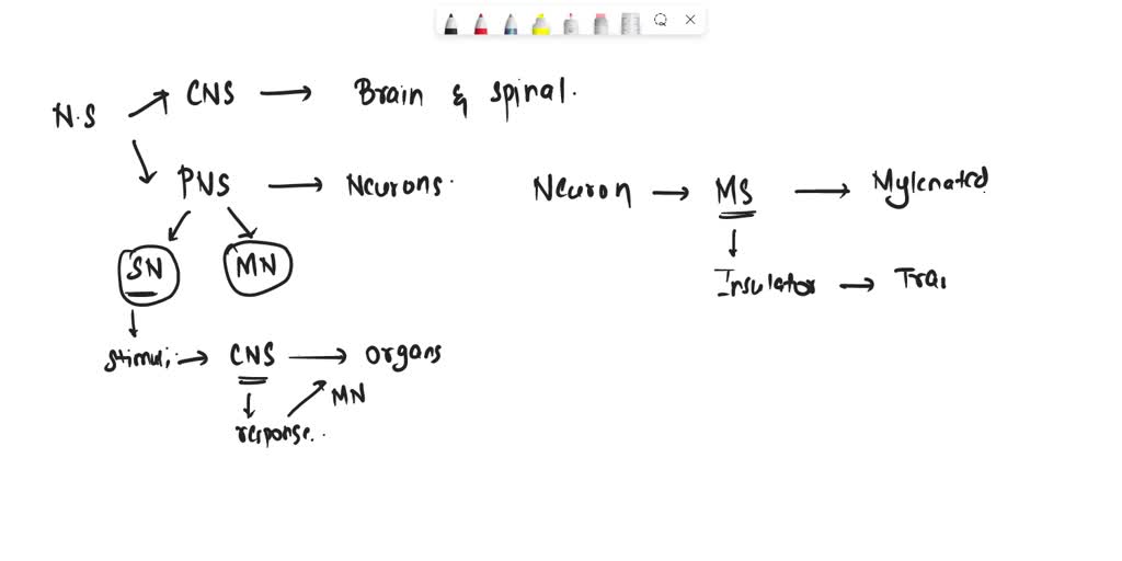 SOLVED Multiple sclerosis (MS) is a disorder where the body's immune