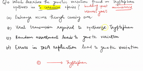 amino-acids-are-required-for-the-synthesis-of-proteins-living-cells-typically-have-biosynthetic-pathways-to-synthesize-at-leasf-some-of-the-aminogacids-used-in-making-proteins-some-strains-o-52806