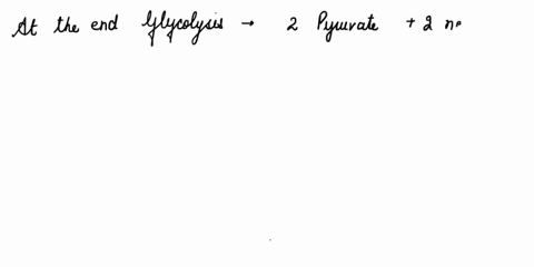 question-88-what-are-the-products-of-glycolysis-select-all-that-apply-nad-pyruvic-acid-atp-nadh-24518