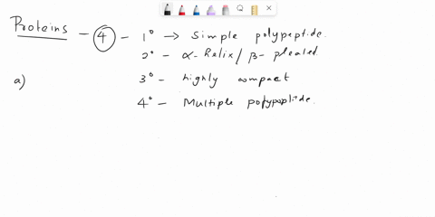 match-the-correct-level-of-protein-structure-to-the-statements-below-you-can-use-an-answer-more-than-once_-a-primary-amino-acid-sequence-b-hydrogen-bond-antiparallel-p-sheet-d-disulfide-bond-53852