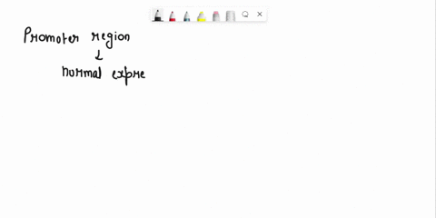 questlon-total-28-points-idently-promoter-recions-imponant-for-the-requlalion-gene-x-you-gunerale-dromcler-48-letion-series-cloning-gene-x-promotor-fragments-drrira-expression-0l-he-lucifera-73732