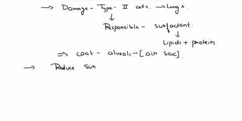 damage-to-the-type-ii-cells-of-the-lungs-would-contribute-to-a-a-thickening-of-the-respiratory-membrane-b-an-increased-rate-of-gas-exchange-o-calveolar-rupture-o-dalveolar-collapse-o-e-decre-32148