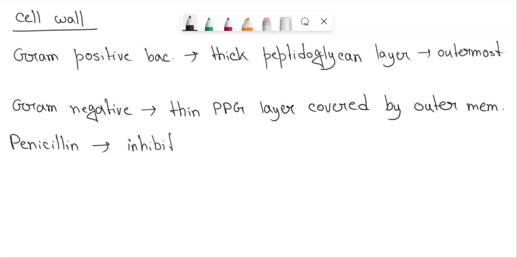 SOLVED What cellular components do some bacterial cells have that make