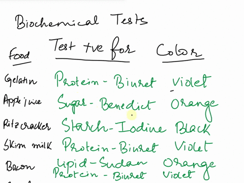 sudan-iil-stain-will-dissolve-in-lipids-and-stain-them-ied-or-orange-elerydaxfoods-run-the-tests-on-each-of-the-everyday-foods-in-the-data-table-below-record-the-color-of-the-test-tube-after-59279