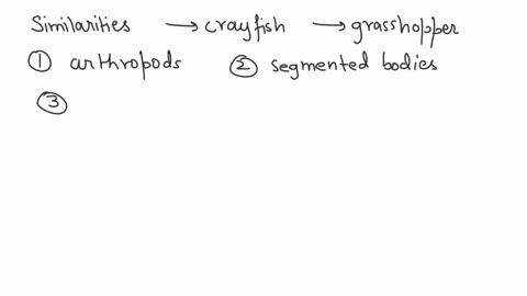 the-differences-and-similarities-you-find-between-crayfish-and-grasshoppe-15885