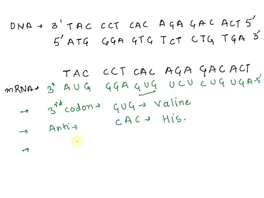 SOLVED: 19. Answer the following questions 19 , 20 , and 21 that are ...